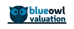 Blue Owl Valuation