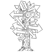 Ongoing Support & Growth